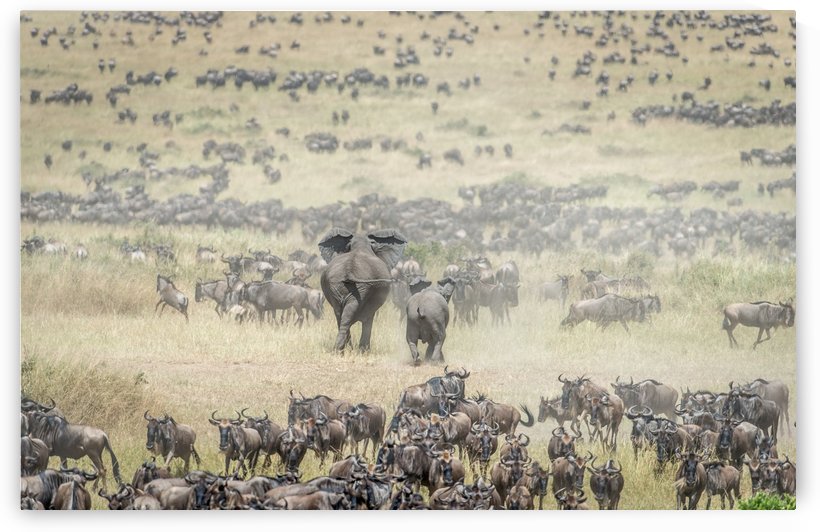 The last Charge by 1x