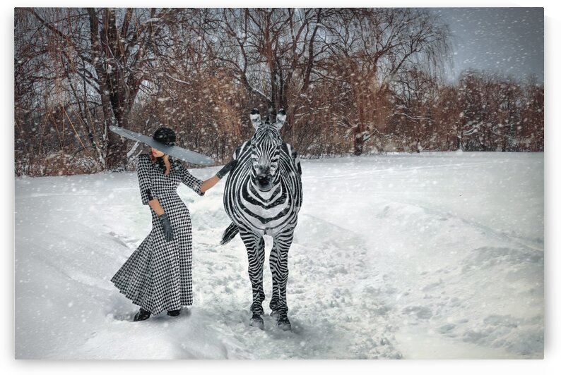 Beautiful young blonde woman wearing a long houndstooth pattern dress a large black hat and gloves standing in a snow storm with a zebra beside her in front of trees by Artmood Visualz