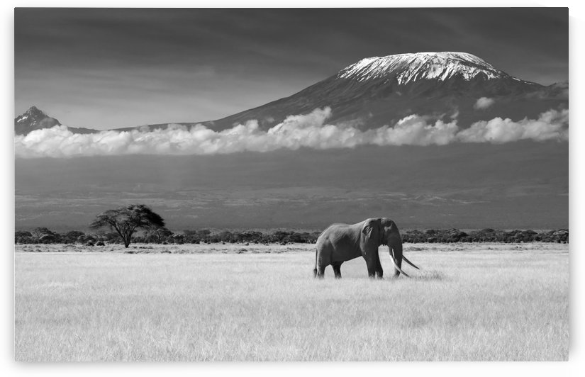 Lost Colors II by ibrahim canakci  by 1x