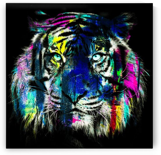 Tigre by FANNY artiste peintre