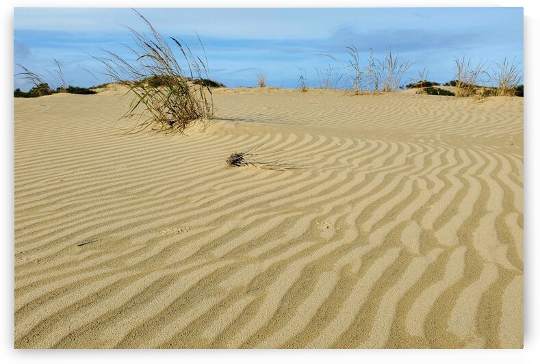 Jockeys Ridge Sand Patterns by The NC Geek