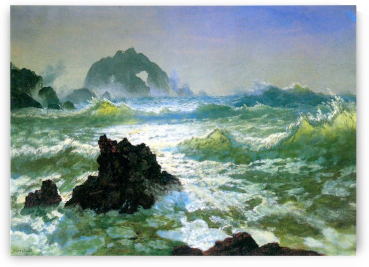 Seal Rock 2 by Bierstadt