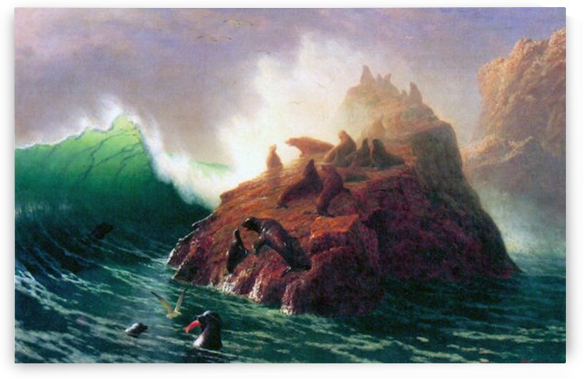 Seal Rock California by Bierstadt