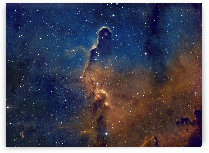 Elephant Trunk final 2 by John Myers