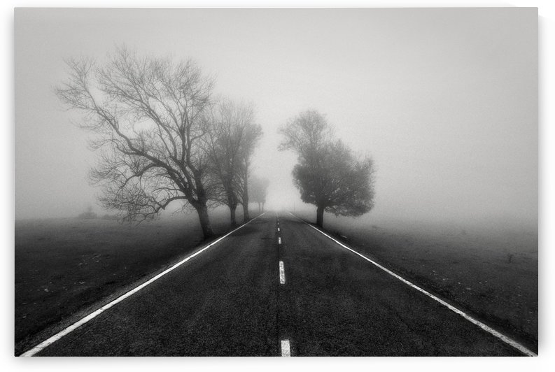 Road to Infinity by Fran Osuna  by 1x