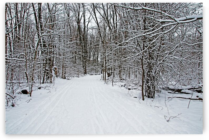 Walking A Winter Trail I by Deb Oppermann