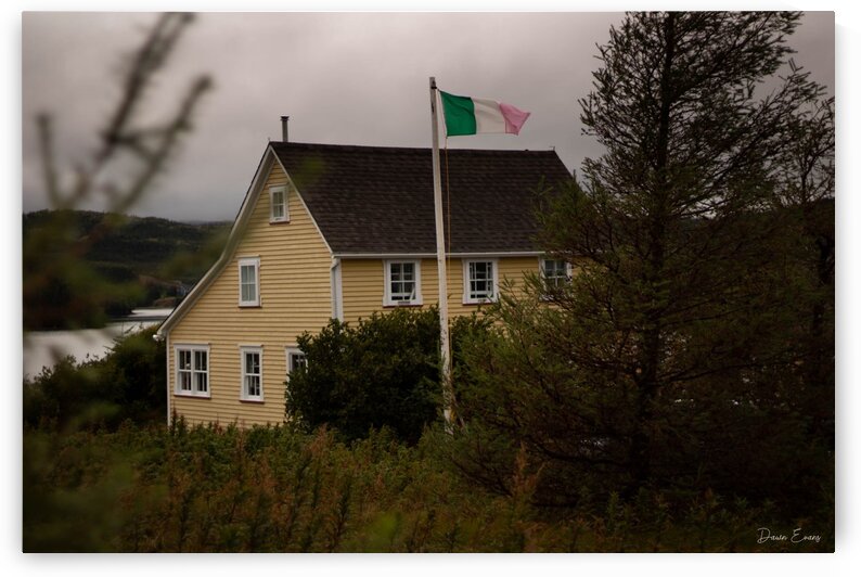 Trinity by Dawn Evans