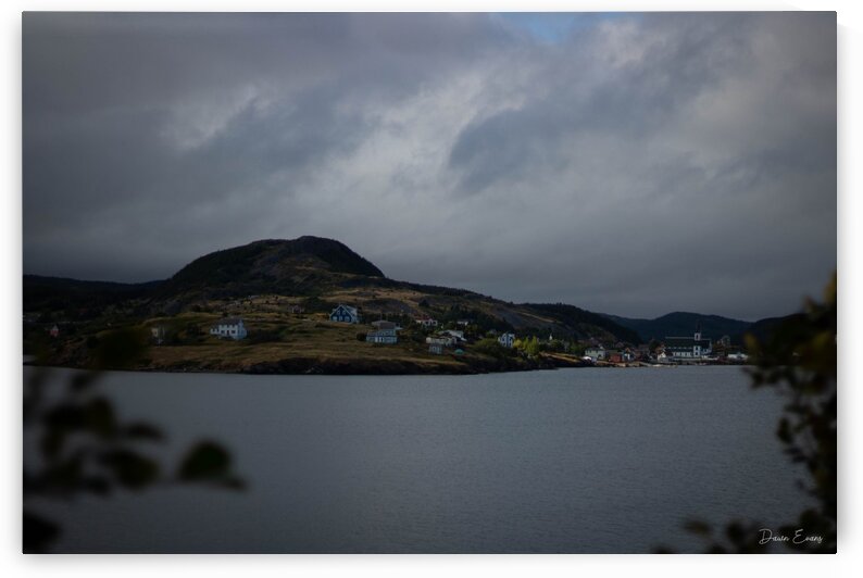 Trinity by Dawn Evans