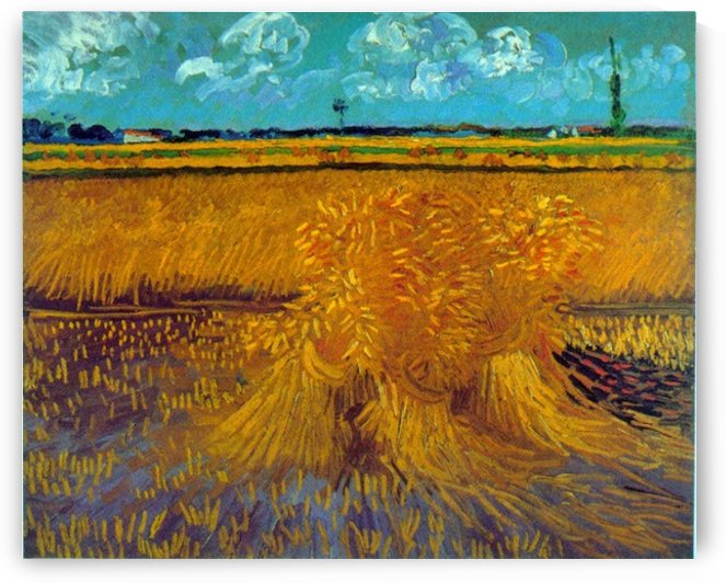 Sheaves by Van Gogh