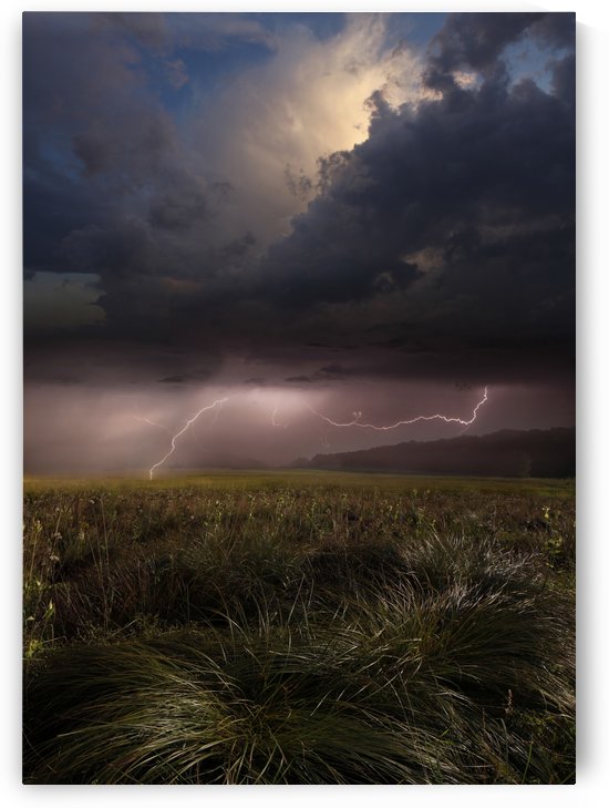 Summer Lights by Franz Schumacher  by 1x