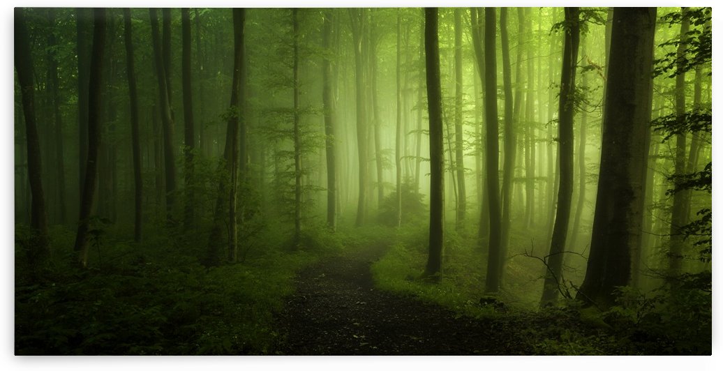 Spring Promise by 1x