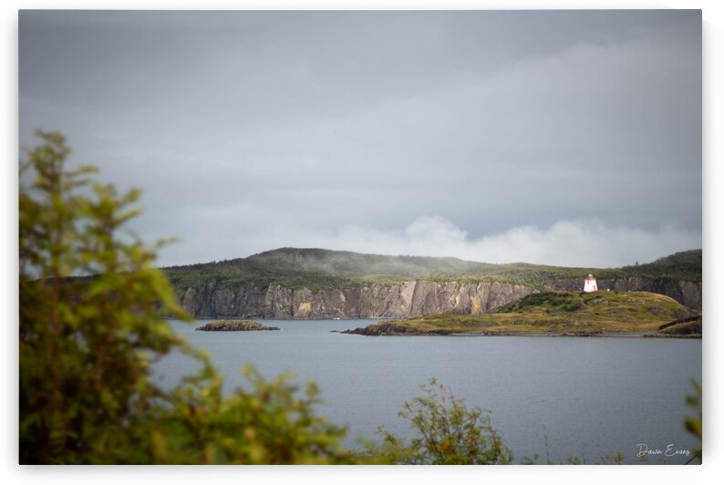 Trinity by Dawn Evans