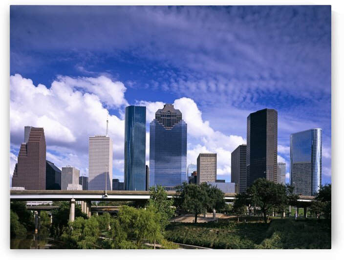 Houston Texas Skyline 2 by Tony Tudor