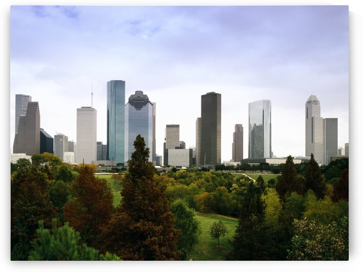 Houston  Texas skyline 3 by Tony Tudor