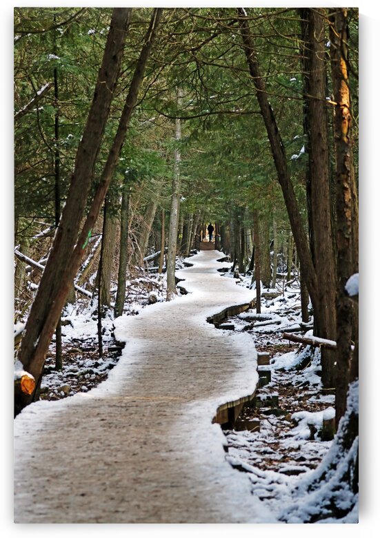 Meandering Winter Boardwalk by Deb Oppermann