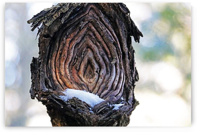 Diamond In The Heart by Deb Oppermann