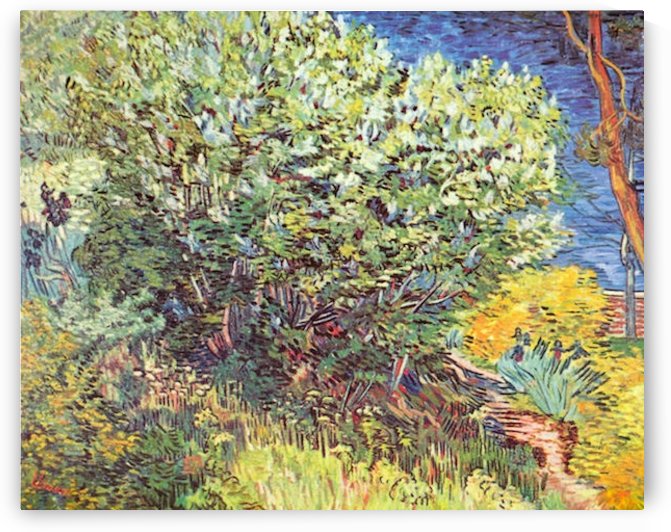 Slip Away by Van Gogh