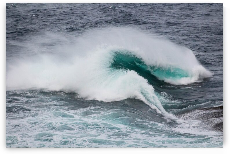 Waves in Flatrock by Dawn Evans
