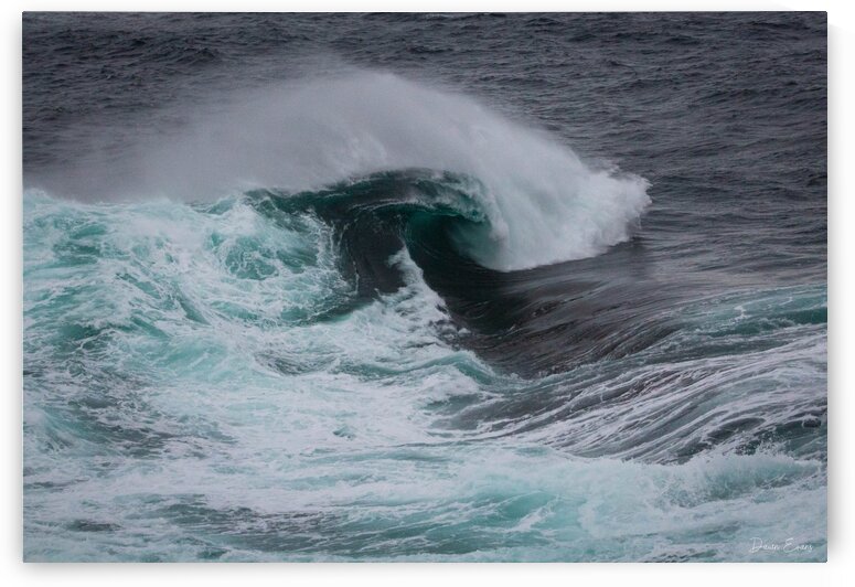 Waves in Flatrock by Dawn Evans
