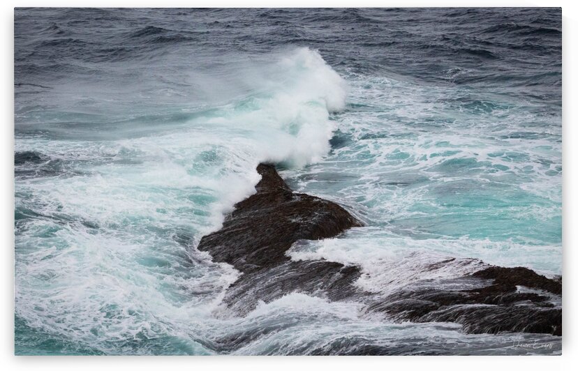 Waves in Flatrock by Dawn Evans