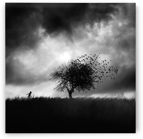 Printemps Perdu by 1x