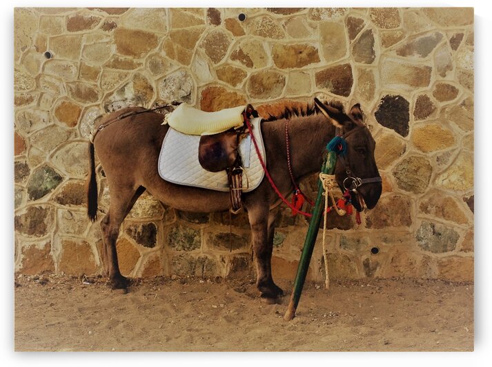 Cyprus   B by AttoGraphy