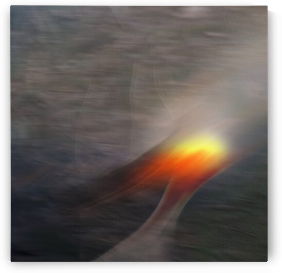 ----combined love---- Ltd Edition of 5- 3 left by Loek van Walsem Photographic Art