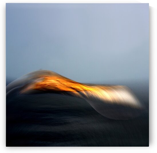 ---Balance of life---           Ltd edition of 5 -2 left by Loek van Walsem Photographic Art