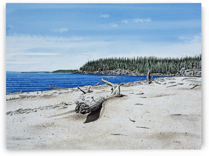 Prairie River Provincial Park Painting by Stephen Emms