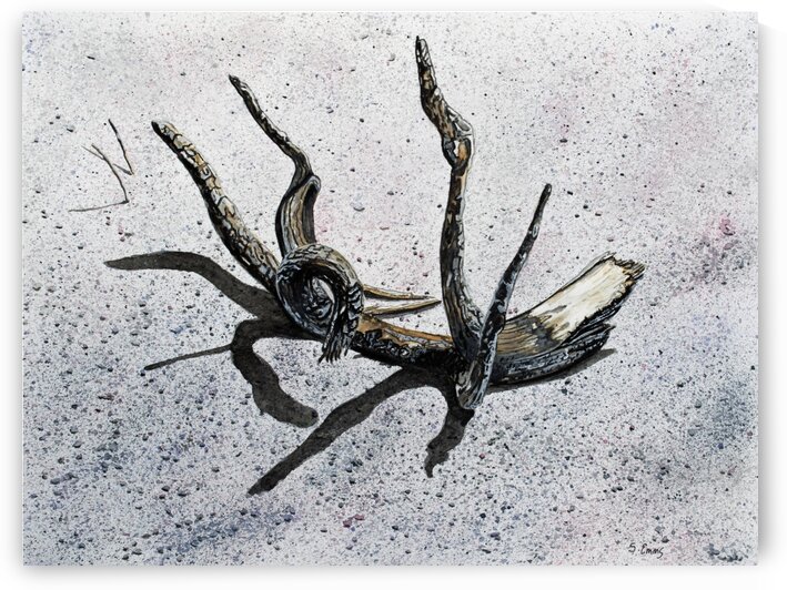 Burnt Beach Driftwood Painting by Stephen Emms