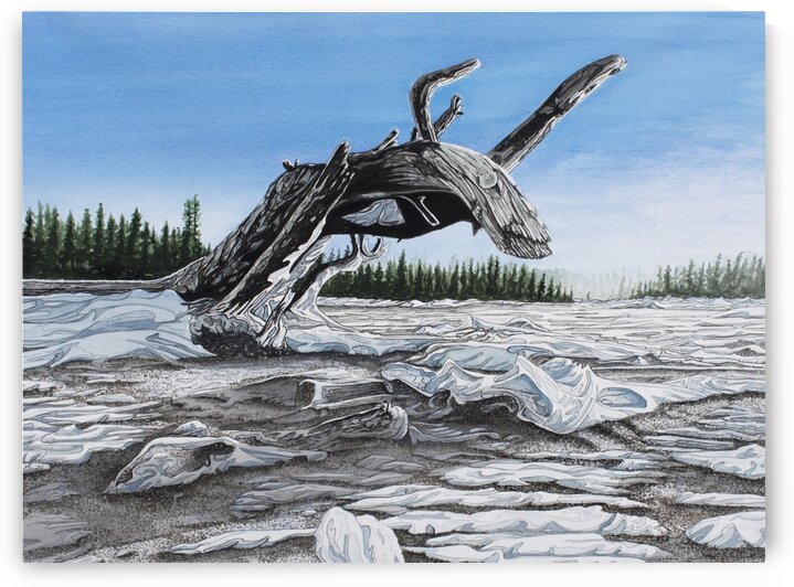 Winter Dragon Painting by Stephen Emms