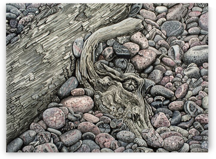 Pebble Beach Driftwood Painting by Stephen Emms