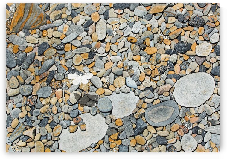 Floating Painting by Stephen Emms