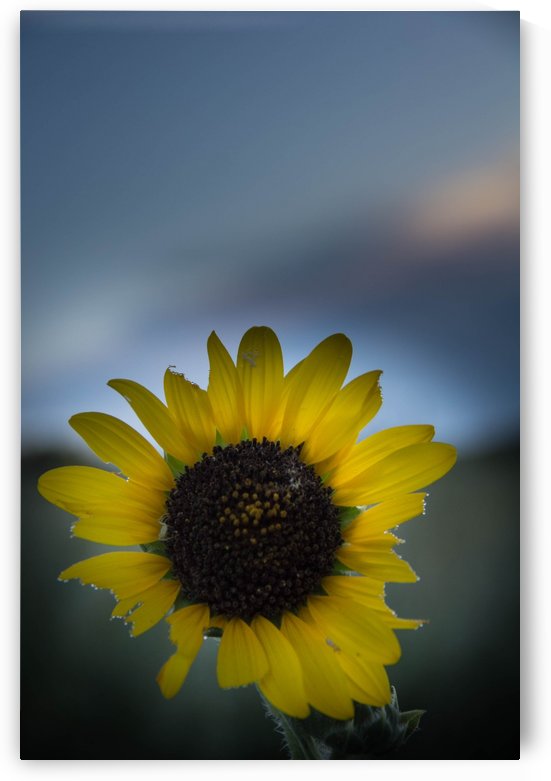 Imperfect by Ashleigh Clack