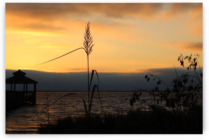 A Sound Sunset by The NC Geek