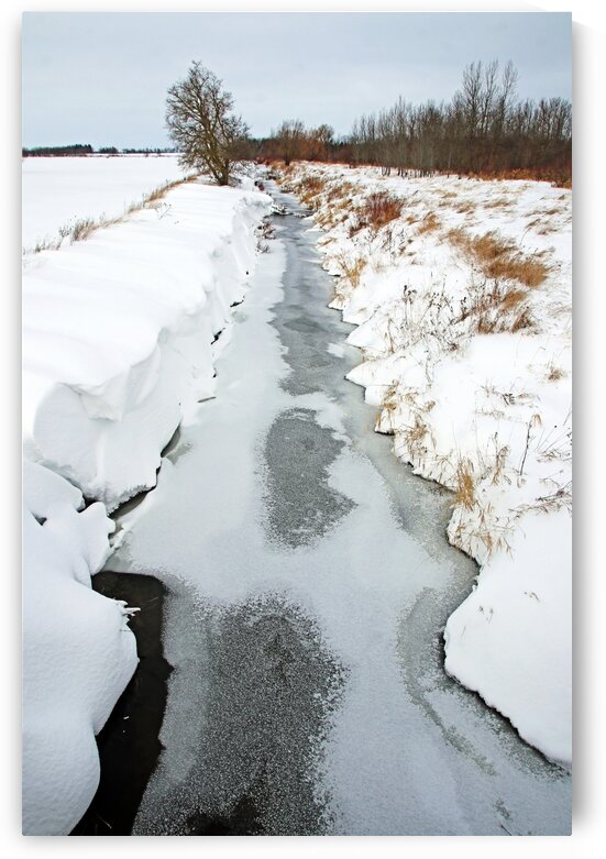 Rural Winter Creek by Deb Oppermann