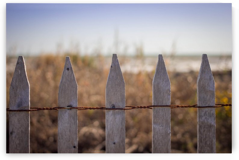 Serenity by Ashleigh Clack