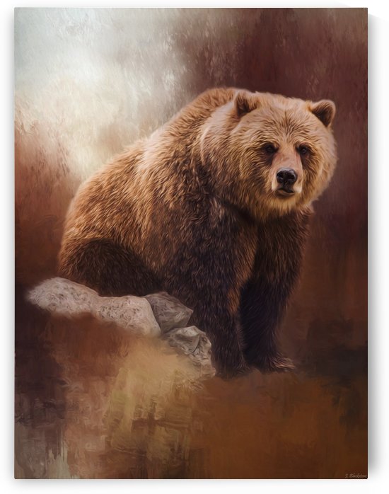 Great Strength - Grizzly Bear Art by Jordan Blackstone by Jordan Blackstone