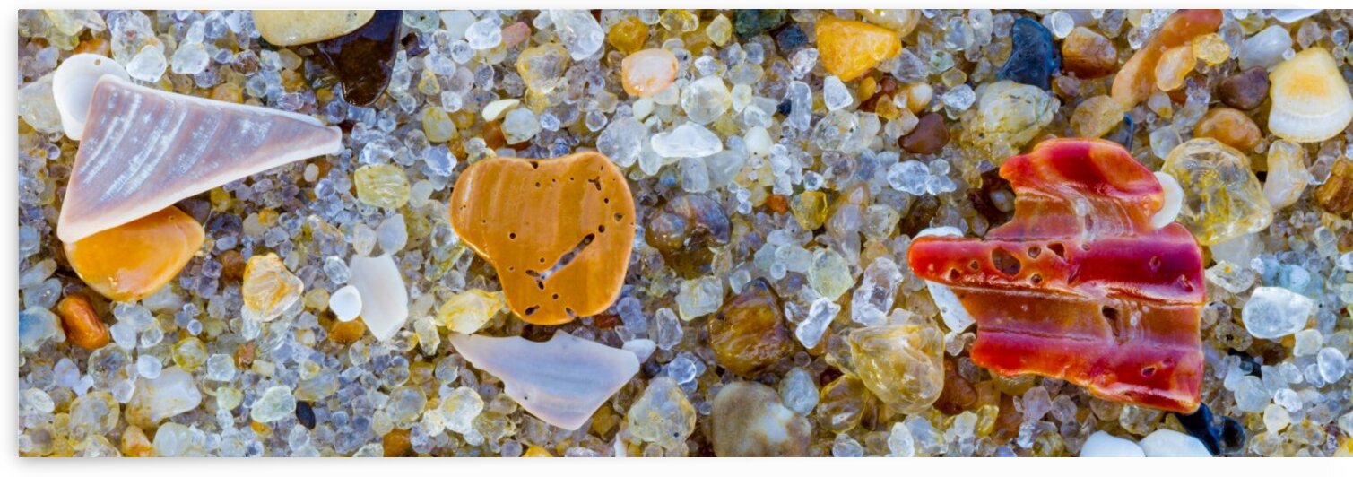 Sand & Shells ap 1845 by Artistic Photography