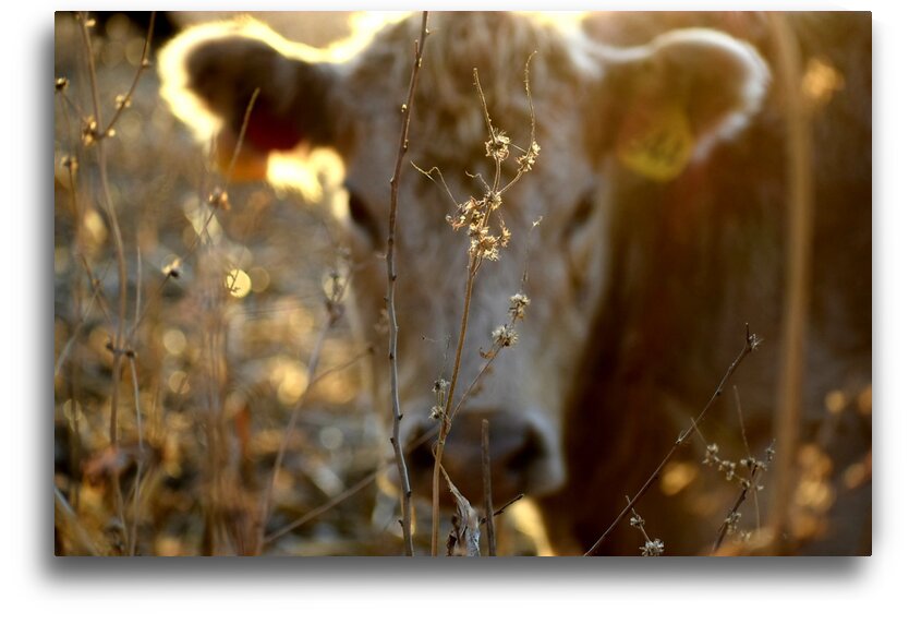 20201228 170432 by Amy Chapman