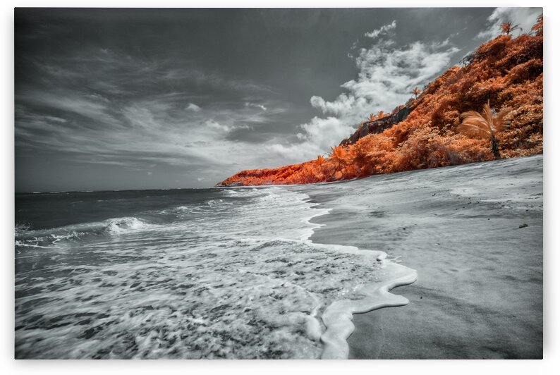 L ENVIRONNEMENT VIDE by Glauco Meneghelli