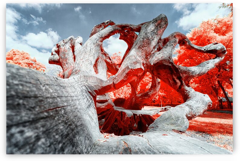 Mediterranean by Glauco Meneghelli