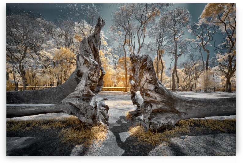 Tremulous Ode to Greener Depth by Glauco Meneghelli