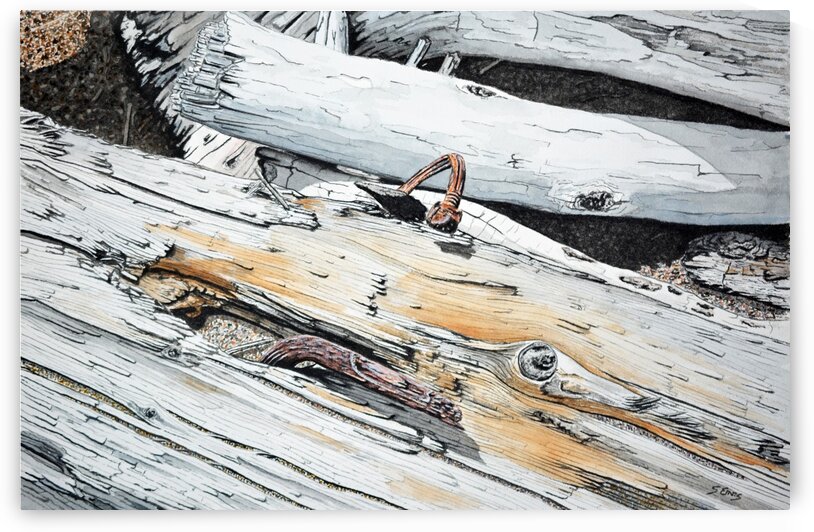 Boom Log Painting by Stephen Emms