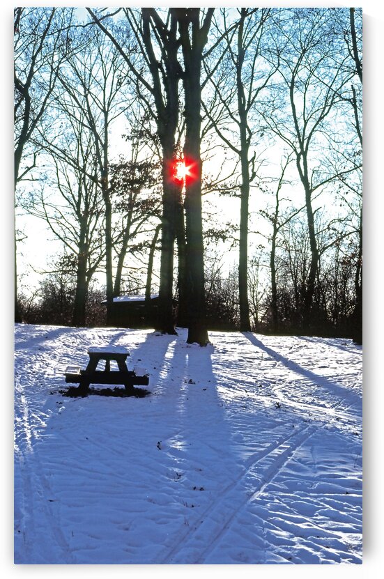 Herrick Lake Winter Sunset Between Trees by ImagesAsArt By John Louis Benzin