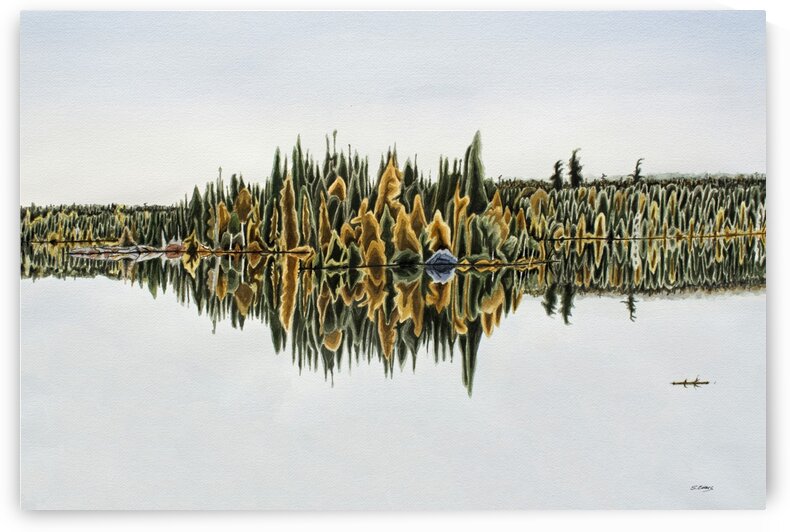 Small Island Lac Des Mille Lacs Painting by Stephen Emms