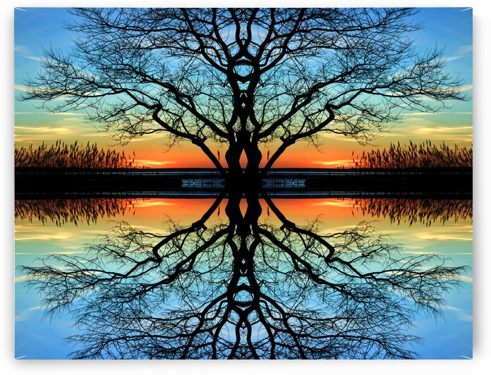 Assawoman Reflections by Bill Swartwout Photography