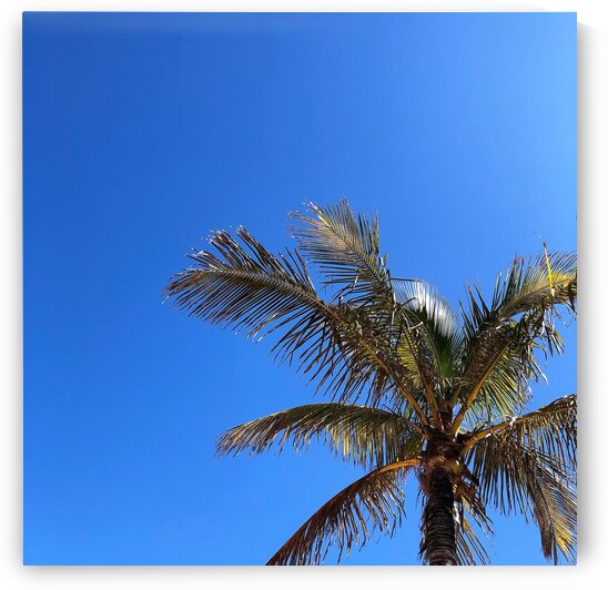 Tenerife  E by AttoGraphy