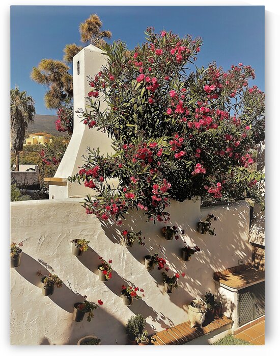 Tenerife  C by AttoGraphy