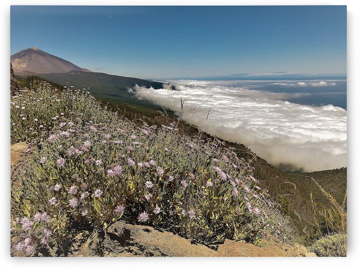 Tenerife  J by AttoGraphy